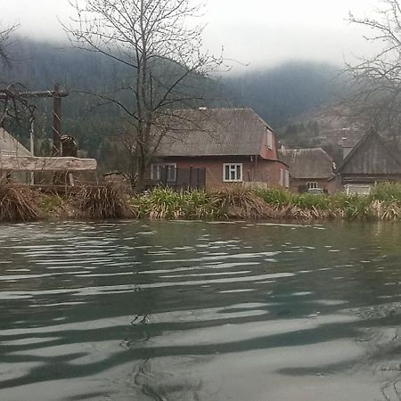 Готель Людмила Synevyr Dış mekan fotoğraf