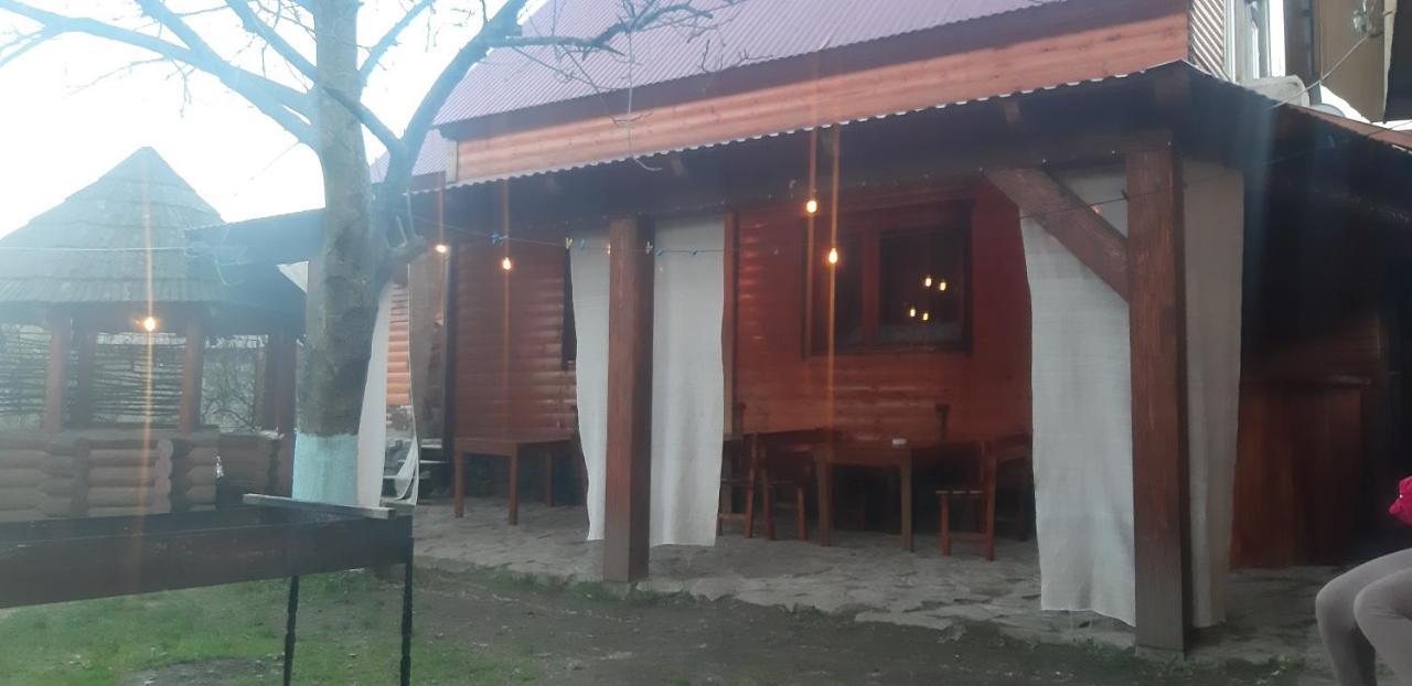 Готель Людмила Synevyr Dış mekan fotoğraf