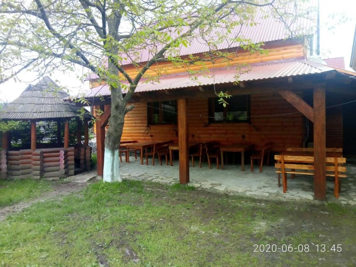 Готель Людмила Synevyr Dış mekan fotoğraf